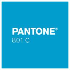 Product picture: Sun Chemical Pantone Fluo Ink 801 BLUE / 1 kg