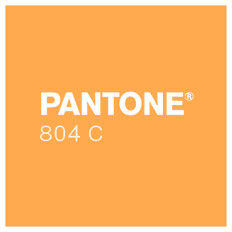 Product picture: Sun Chemical Pantone Fluo Ink 804 ORANGE / 1 kg