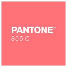 Product picture: Sun Chemical Pantone Fluo Ink 805 RED / 1 kg