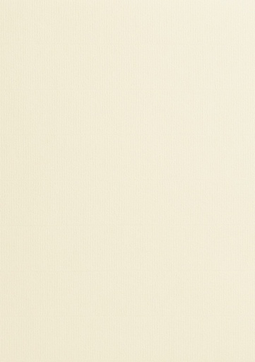 [00011143] Self-Adhesive Paper Verge Blanc B2 / 200 Sheets